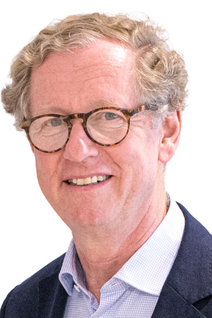 Duco Sickinghe, Fortino Capital